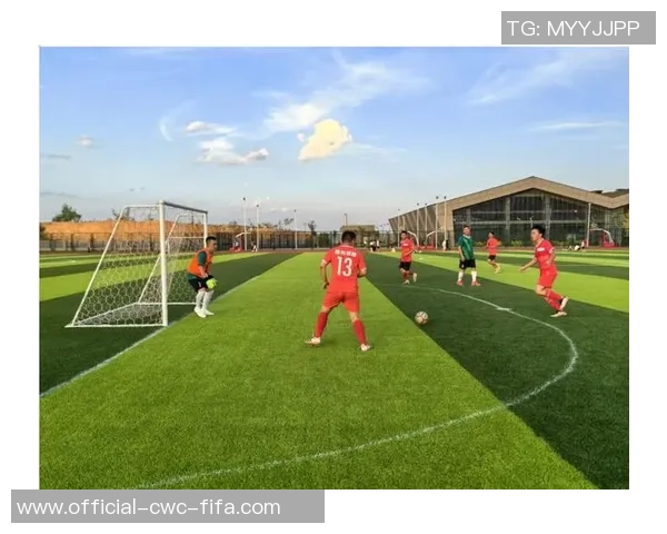 激情四溢的绿茵场上足球赛的精彩瞬间与动人描写